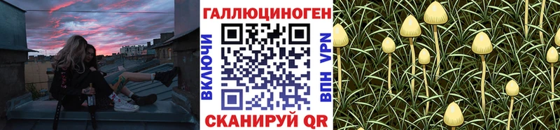 Галлюциногенные грибы Magic Shrooms купить Галич