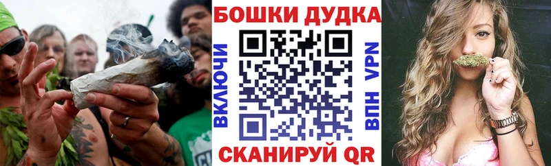 Шишки марихуана сатива  MEGA ссылки  Галич 